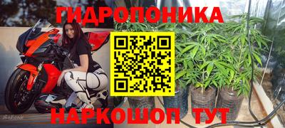 крисы Волгодонск