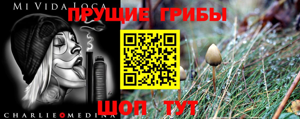 Псилоцибиновые грибы Magic Shrooms  Галлюциногенные грибы мицелий  Новотроицк  Вход с VPN 