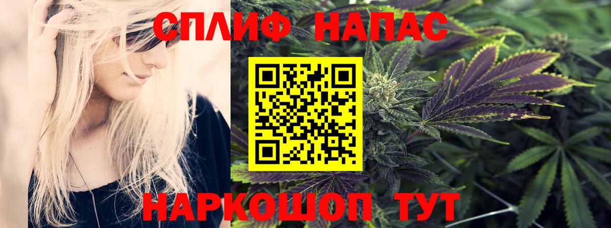 Новотроицк  Конопля ГИДРОПОН  Бошки Шишки планчик  Канабис тримм  Вход с VPN 